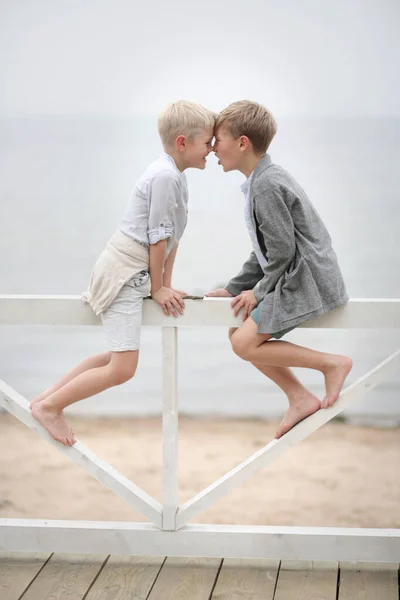 两兄弟坐在海滩上的白色栅栏上装傻 在海滩上散步的孩子 — 图库照片