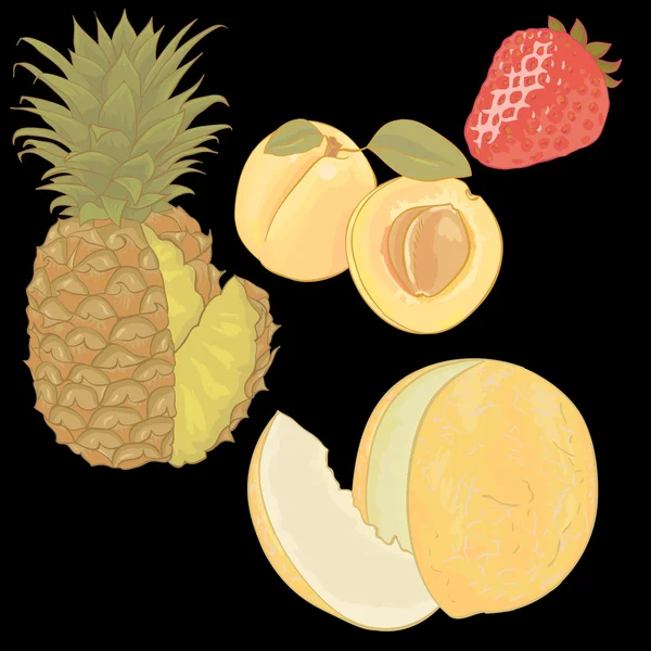 Melon, apricot, pineapple, strawberry — Stock Vector