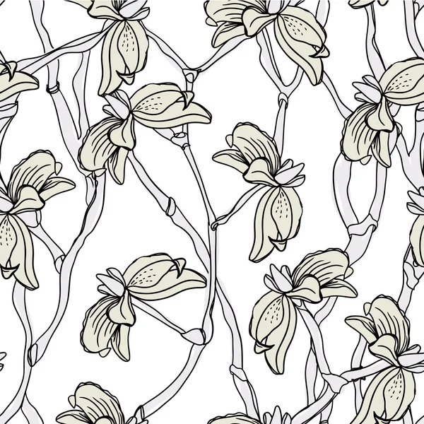 Modèle floral sans couture — Image vectorielle