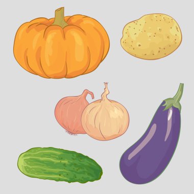 sebze vektör