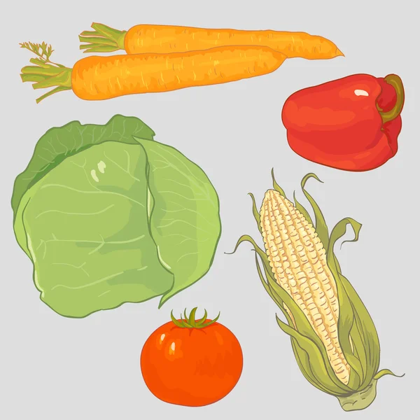Овощи в векторе — стоковый вектор