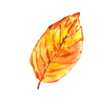 suluboya yaprak beyaz arkaplanda izole