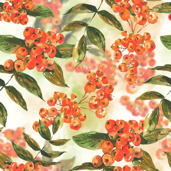 Ακουαρέλα ομοιογενές φόντο με τέφρα-berry — Φωτογραφία Αρχείου