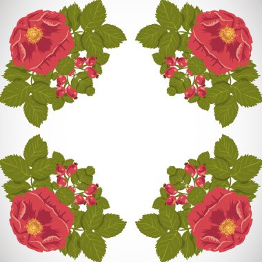 yabani gül ile sorunsuz çiçek arka plan