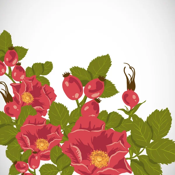 Floral bakgrund med wild rose, brier — Stockový vektor