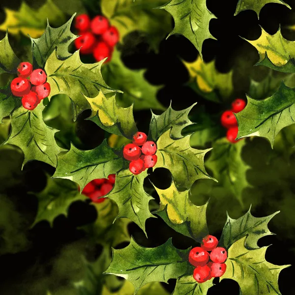 Christmas holly akvarel zázemí — Stock fotografie