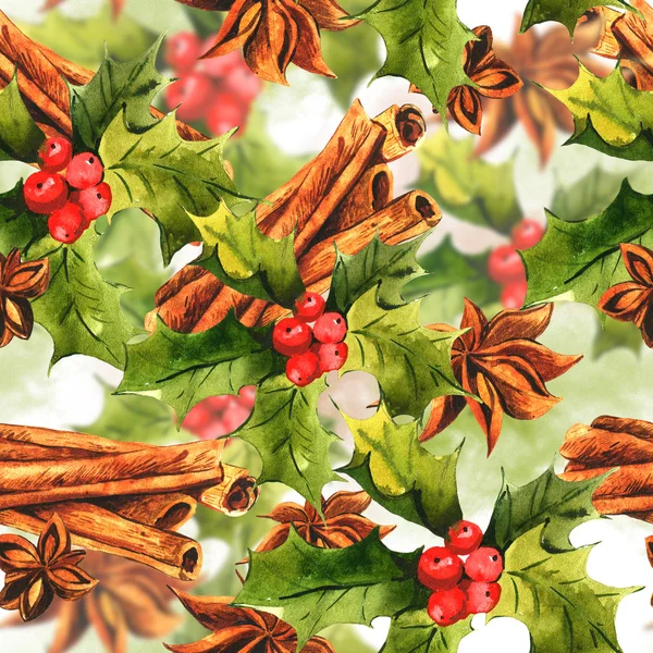 Christmas Holly with cinnamon — Stock Photo, Image