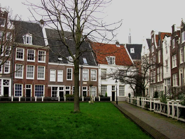 Herbsthof in amsterdam — Stockfoto