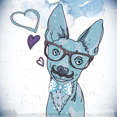 hipster arka plan ile bir köpek