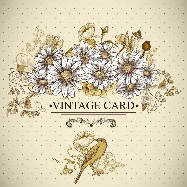 Tarjeta floral vintage con aves y margaritas — Vector de stock