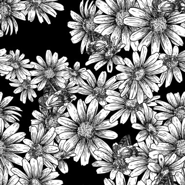 Vintage seamless monochrome pattern with daisies clipart