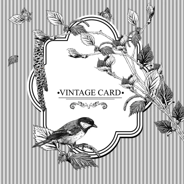Tarjeta Vintage con ramitas de abedul y punta de pájaro — Archivo Imágenes Vectoriales