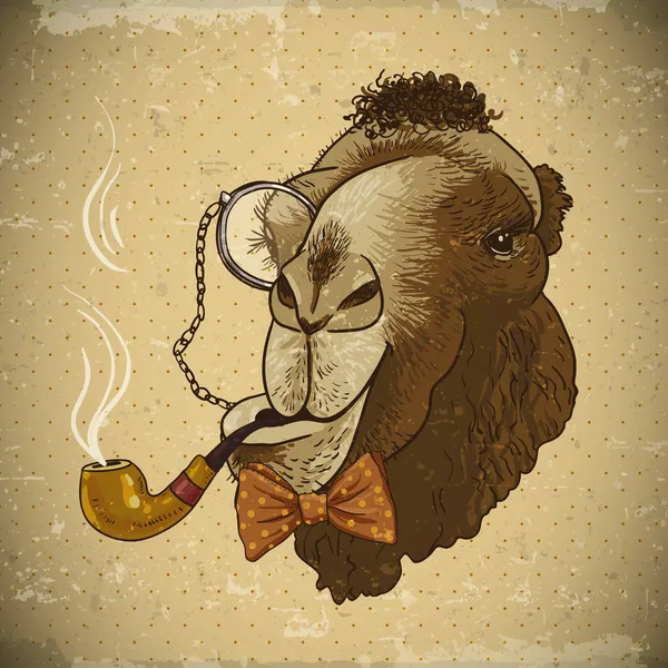 Cartão Vintage Hipster Animal Camel com tubo —  Vetores de Stock