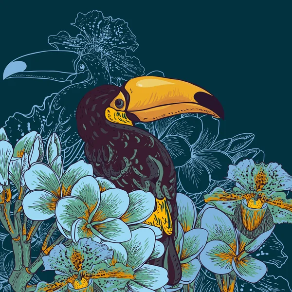 Fondo tropical con flores exóticas, Tucán — Vector de stock