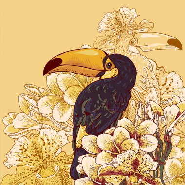 egzotik çiçekler, tropikal arka plan toucan