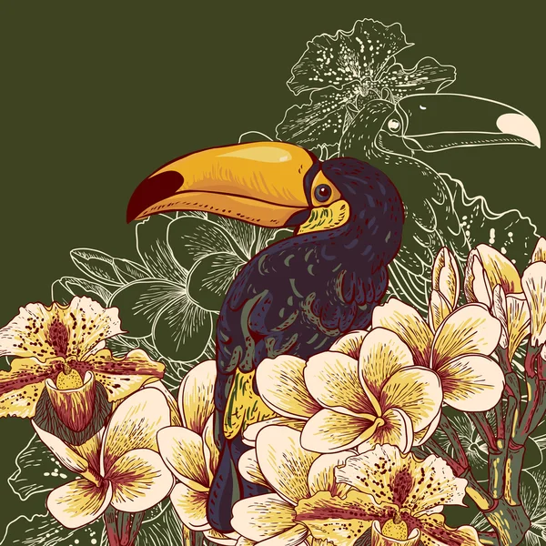 Fond tropical aux fleurs exotiques, Toucan — Image vectorielle