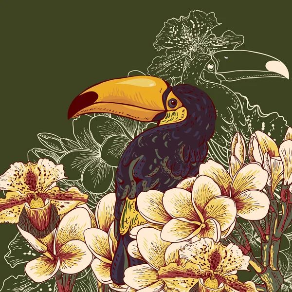 Fondo tropical con flores exóticas, Tucán — Vector de stock