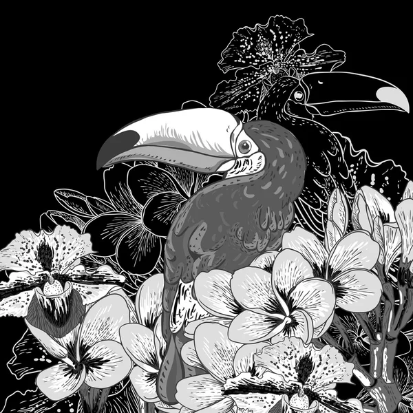 Tropische achtergrond met exotische bloemen, toucan — Stockvector