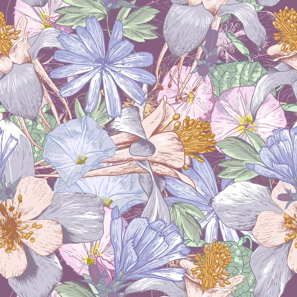 Modèle sans couture d'été avec des fleurs sauvages . — Image vectorielle