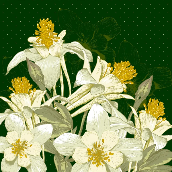 白色鲜花盛开的美丽背景 — 图库矢量图片