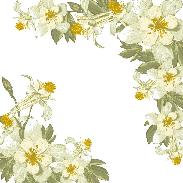 Ram med vita blommor — Stock vektor