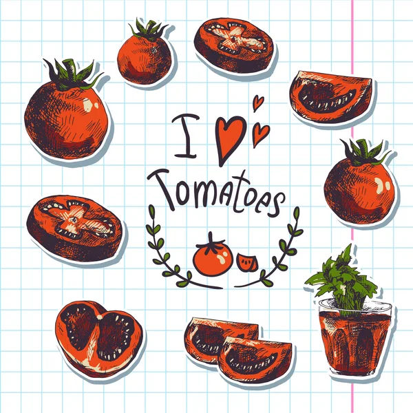 Elle çizilmiş kroki sebze, domates. — Stok Vektör