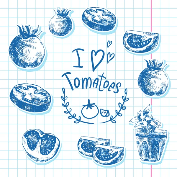 Dibujo a mano de verduras, Tomates . — Archivo Imágenes Vectoriales