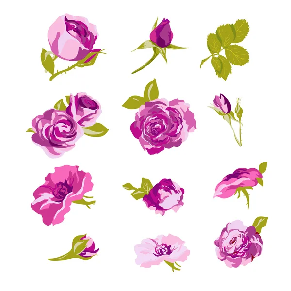 花のデザイン要素、花のコレクションのセット — ストックベクタ