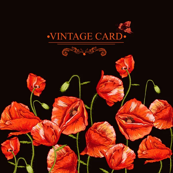 Bunch of Beautiful Red Poppy ilustração vetorial —  Vetores de Stock