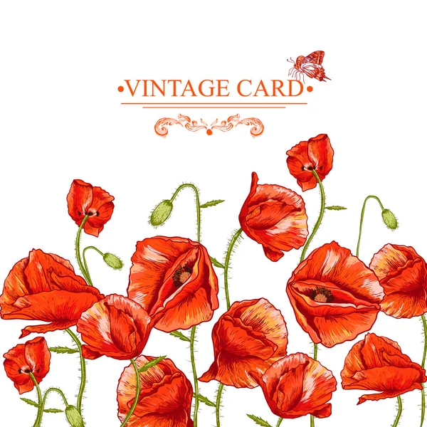 Bunch of Beautiful Red Poppy ilustração vetorial — Vetor de Stock