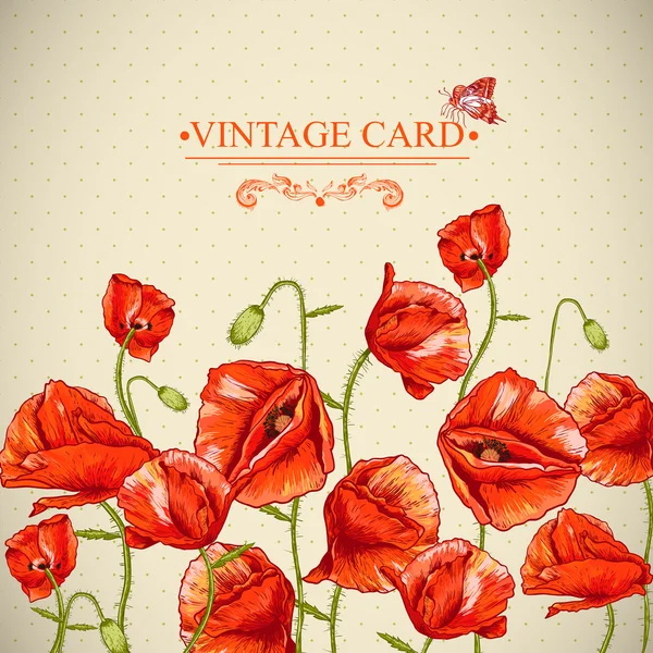 Bunch of Beautiful Red Poppy ilustração vetorial — Vetor de Stock