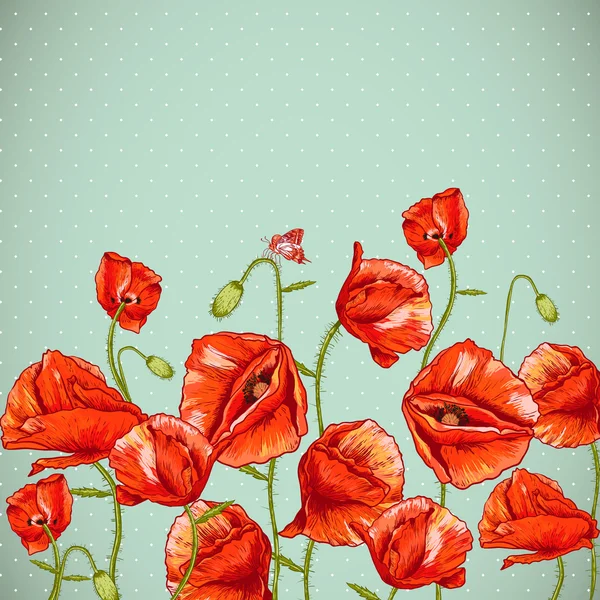 Bunch of Beautiful Red Poppy vector illustration — Stock Vector