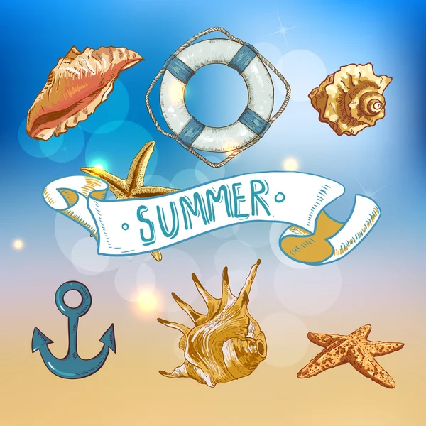 Summer Card with Sea Shells, Anchor, Lifeline — Stock Vector