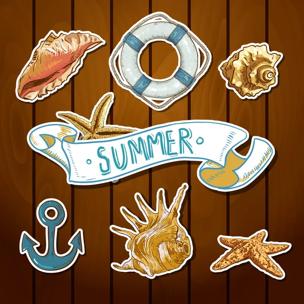 Summer Card with Sea Shells, Anchor, Lifeline — Stock Vector