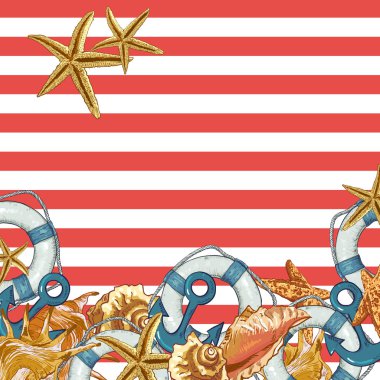 Deniz kabukları, çapa, yaşam çizgisi ile yaz kartı