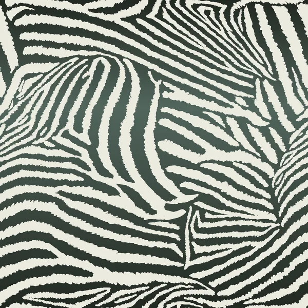 Animal Zebra Seamless Background — Stock Vector