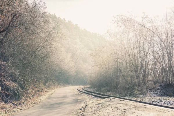 Verlassene Bahngleise Frostiger Morgen — Stockfoto