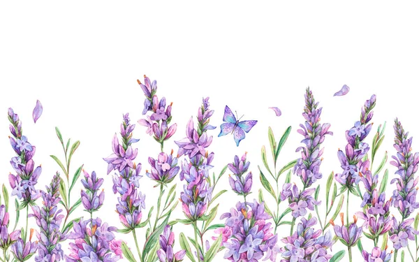Watercolor lavender flowers natural greeting card in vintage sty