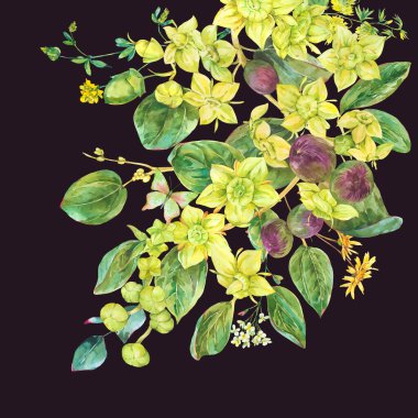 Yaz suluboya sarı çiçekler. Botanik Sidr çiçek illüstrasyonu, klasik tebrik kartı