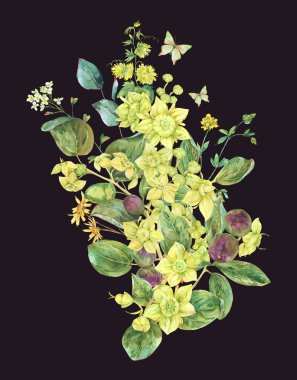 Yazın suluboya sarı çiçek buketi. Botanik Sidr çiçek illüstrasyonu, klasik tebrik kartı