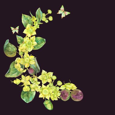 Suluboya yaz sarı çelenk çiçekleri. Botanik Sidr çiçek illüstrasyonu, klasik tebrik kartı