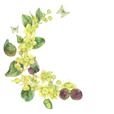 Suluboya yaz sarı çelenk çiçekleri. Botanik Sidr çiçek illüstrasyonu, klasik tebrik kartı