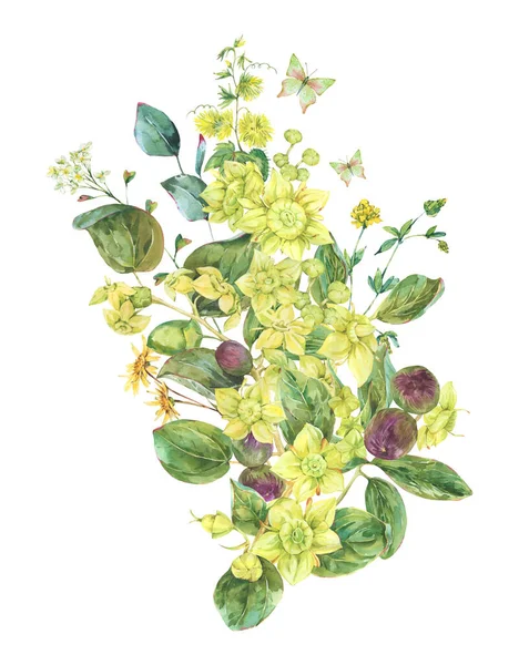 Watercolor Summer Yellow Flowers Bouquet Botanical Sidr Floral Illustration Vintage — Fotografia de Stock