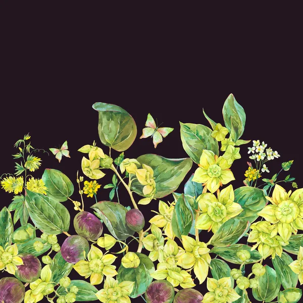 Yaz suluboya sarı çiçekler. Botanik Sidr çiçek illüstrasyonu, klasik tebrik kartı