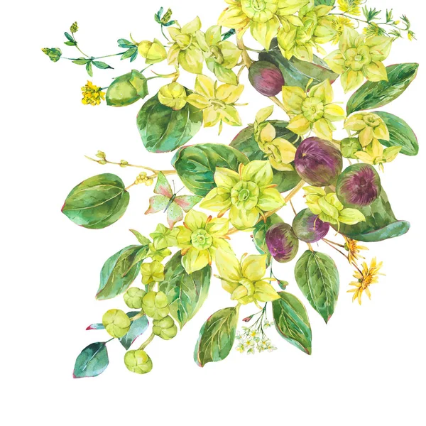 Watercolor Summer Yellow Flowers Botanical Sidr Floral Illustration Vintage Greeting — 스톡 사진