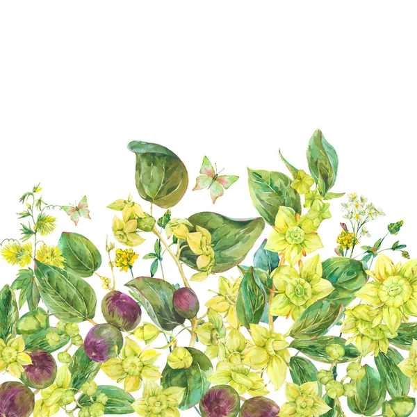 Acuarela Flores Amarillas Verano Ilustración Floral Botánica Sidr Tarjeta Felicitación —  Fotos de Stock