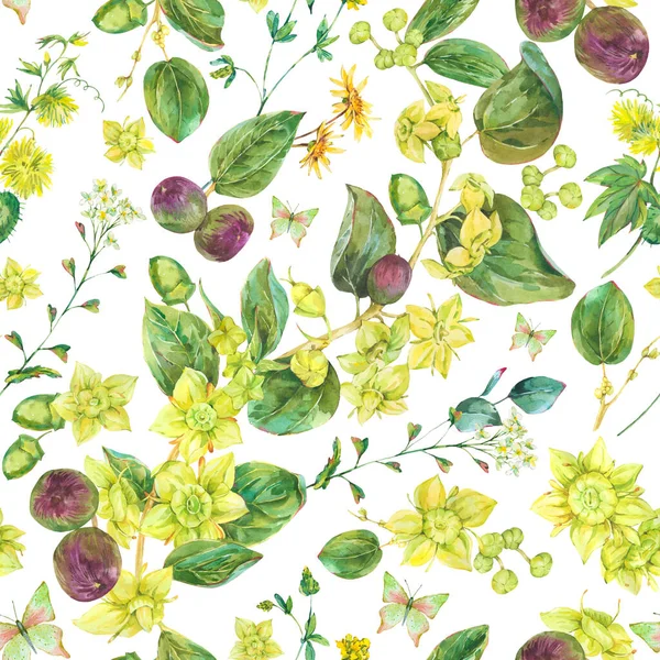 Watercolor Summer Yellow Flowers Seamless Pattern Botanical Sidr Floral Texture —  Fotos de Stock