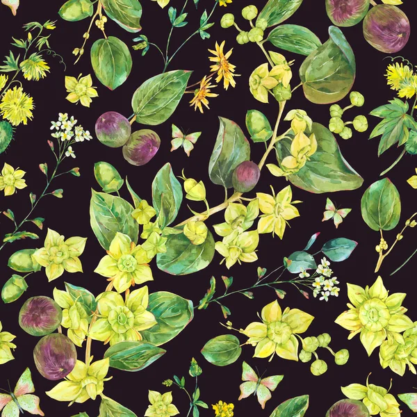 Akwarela Lato Żółte Kwiaty Bezszwowy Wzór Botaniczny Sidr Kwiatowa Faktura — Zdjęcie stockowe