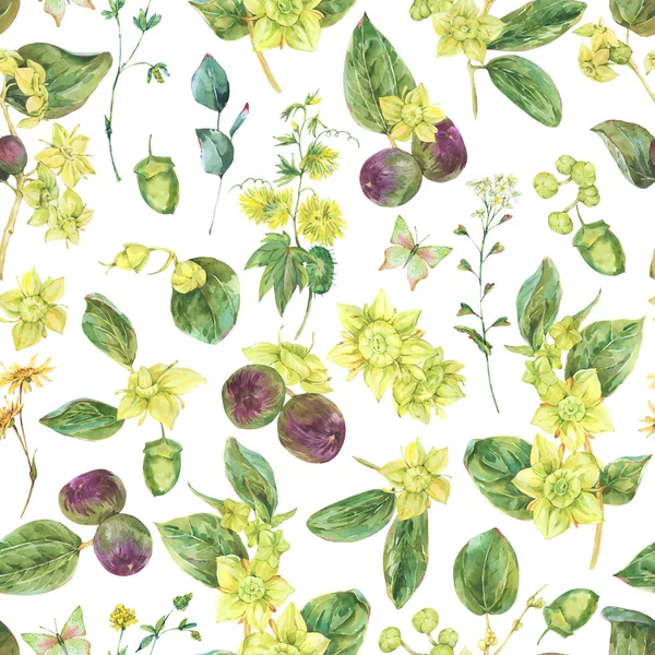 Watercolor Summer Yellow Flowers Seamless Pattern Botanical Sidr Floral Texture — Foto de Stock