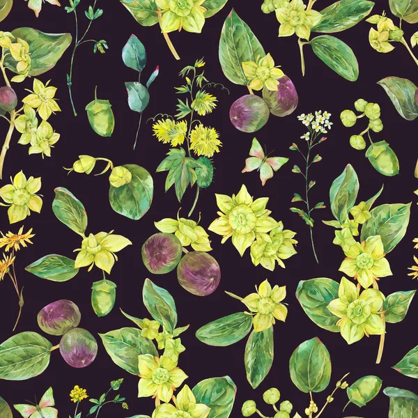 Акварель Літні Жовті Квіти Безшовний Візерунок Ботанічна Бічна Квіткова Текстура — стокове фото